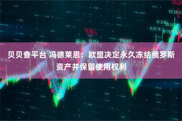 贝贝查平台 冯德莱恩：欧盟决定永久冻结俄罗斯资产并保留使用权利